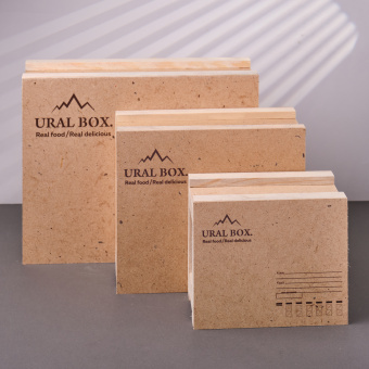 Ящик почтовый "Урал"средний 22,5*18*9,5см