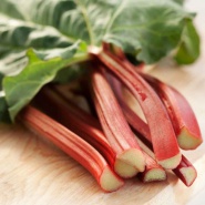 ЧТО ЗА ЗВЕРЬ ЭТОТ РЕВЕНЬ?